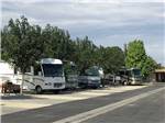 View larger image of RVs camping at A COUNTRY RV PARK image #10