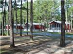 A row of cabins surrounded by tall trees at SUN OUTDOORS CHESAPEAKE BAY - thumbnail