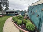 Flower bed and blue buildings at COUNTRY ROADS MOTORHOME & RV PARK - thumbnail