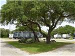 A bench and fire pit under a large tree at WHISPERING OAKS RV PARK - thumbnail