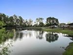 View of the pond - thumbnail