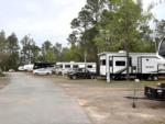 Parked RV's at site Unhitched Garcon Point (fka Pelican Palms RV Park) - thumbnail