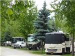 Motorhomes and tow vehicles in woodsy campsites at PAIR-A-DICE RV PARK - thumbnail