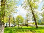 Trees surrounded by the RV sites - thumbnail