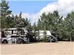 RVs parked near trees on-site at COUNTRY ROADS RV PARK - thumbnail