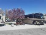 RV parked next to a cherry blossom tree at PASO ROBLES RV RANCH - thumbnail