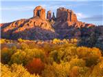 Scenic landmark in the fall at Rancho Verde RV Park - thumbnail