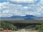 The road going thru Bears Ears nearby at COTTONWOOD RV PARK - thumbnail