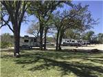 RVs parked in shady sites - thumbnail