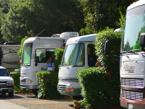 RVs lined up at Carmel by the River RV Park