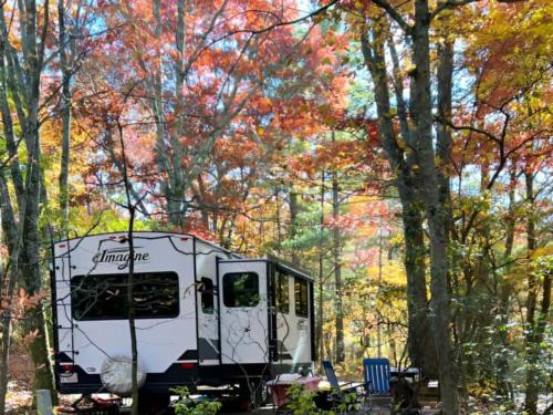 RV parked in shaded site