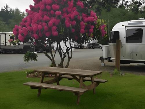 Panic table at site Bud's RV Park & Campground