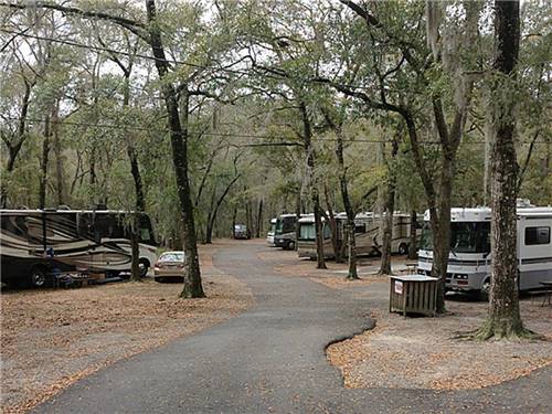 Spacious Skies Savannah Oaks