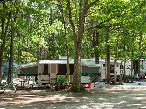 Sea Pines RV Resort & Campground