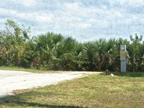 Open space at site Myakka River Motorcoach Resort