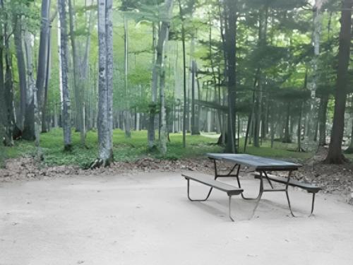 Panic area at Baileys Woods Campground