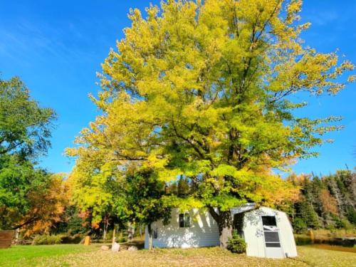 Cabin at site Fairview Park Camping & Marina