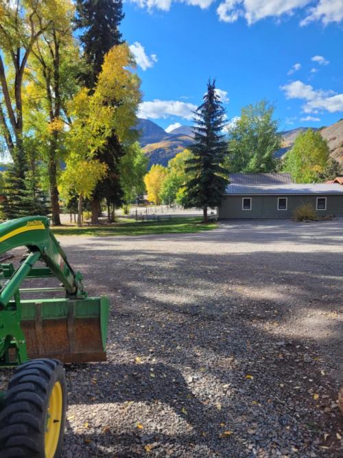 View of trees and cabin at Elkhorn RV Resort