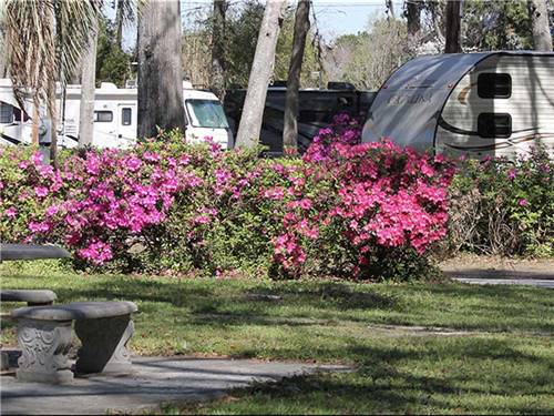 RVs and trailers at campground at BILTMORE RV PARK