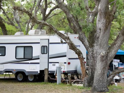 An RV parked in a shady site