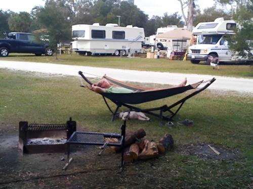 A person relaxing in their hammock with their dog