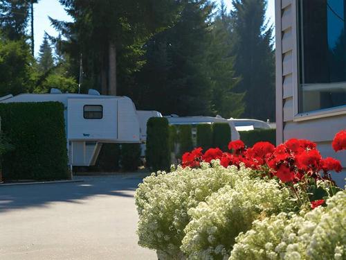 RVs in sites under trees