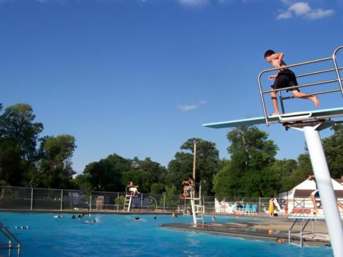 Swimming pool with diving board