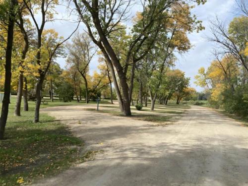 Road leading to campsites