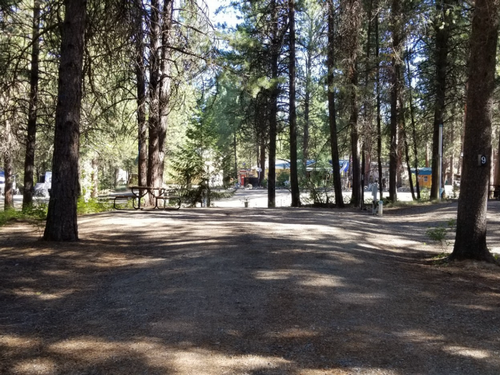 Shady sites Sumpter RV Park