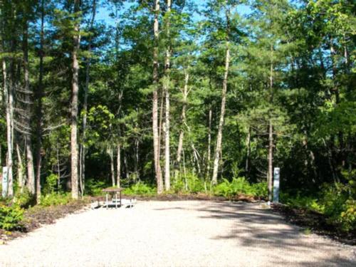 Sun Retreats Westward Shores photo 4