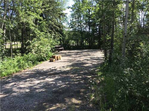 One of the secluded gravel campsites at BEAR PAW PAR 3 GOLF COURSE & RV PARK