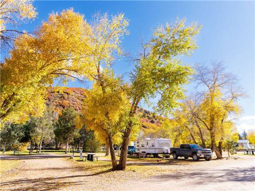 Trees at autumn time