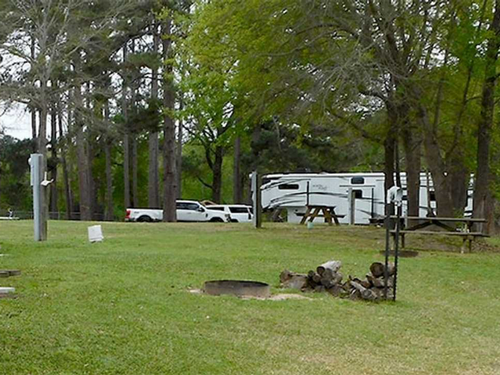 Grassy sites at Flat Creek Marina and RV