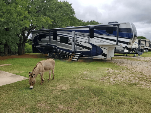 RV parked with donkey grazing in the grass