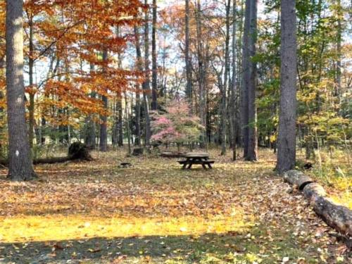 Dingmans Campground