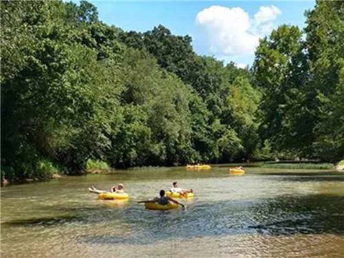 Big Wills Creek Campground & Tubing