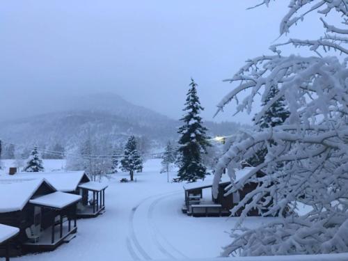 The cabins covered in snow