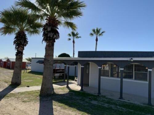 Palm trees and office building at American Campground