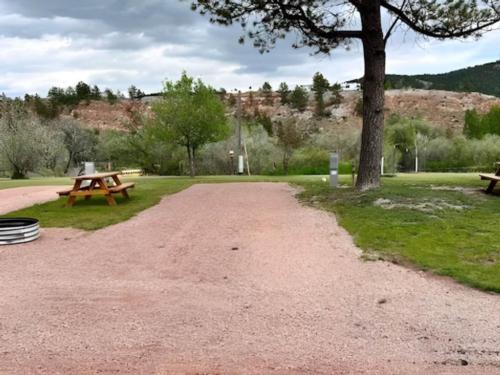A large RV site with table and fire pit