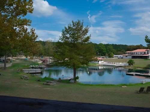 A spring surrounded by grass