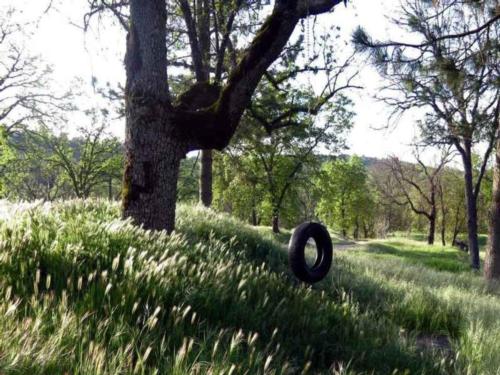 Tire Swing at Sequoia Resort & RV Park