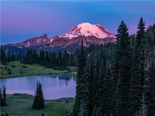 Mt. Rainier