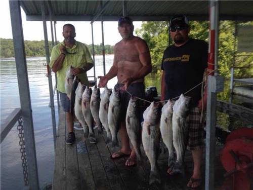 Three anglers show off their hefty catches at KELLER'S KOVE CABIN AND RV RESORT