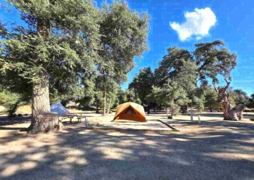 Boulevard / Cleveland National Forest KOA Holiday