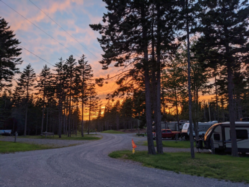 RV sites at sunset at Fundy Woods Campground & Cottages