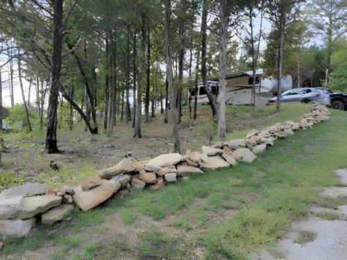 Tree's with RV's parked in the back at site  Area 71 RV Park