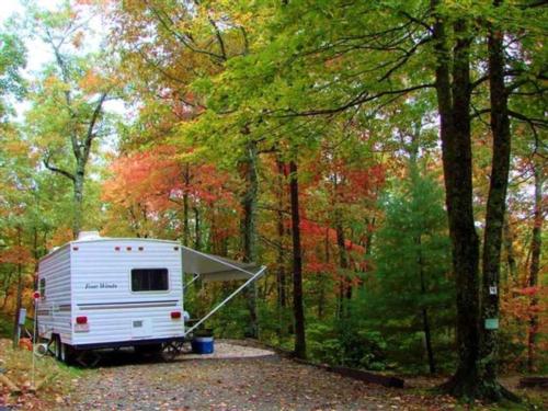 RV site and fall trees at Ash Grove Mountain Cabins and Camping