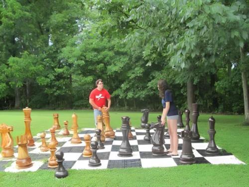 People playing lawn chess