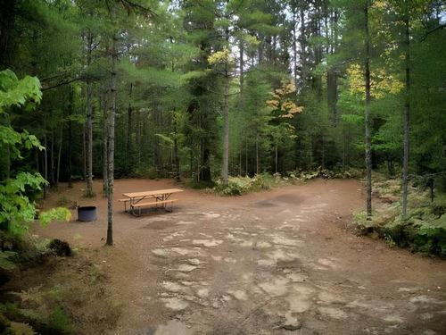 Large site among trees at JoeIda Campground