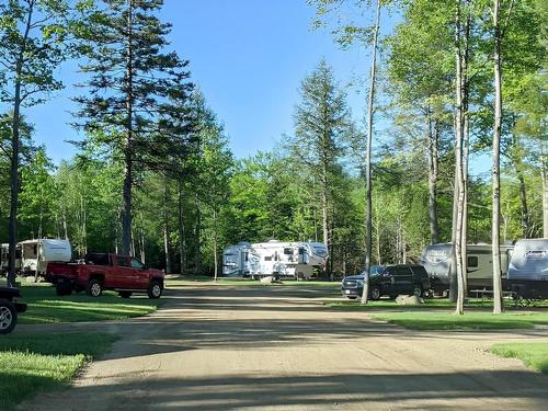 Sites by the trees at Cole's Mine RV Resort and Campground